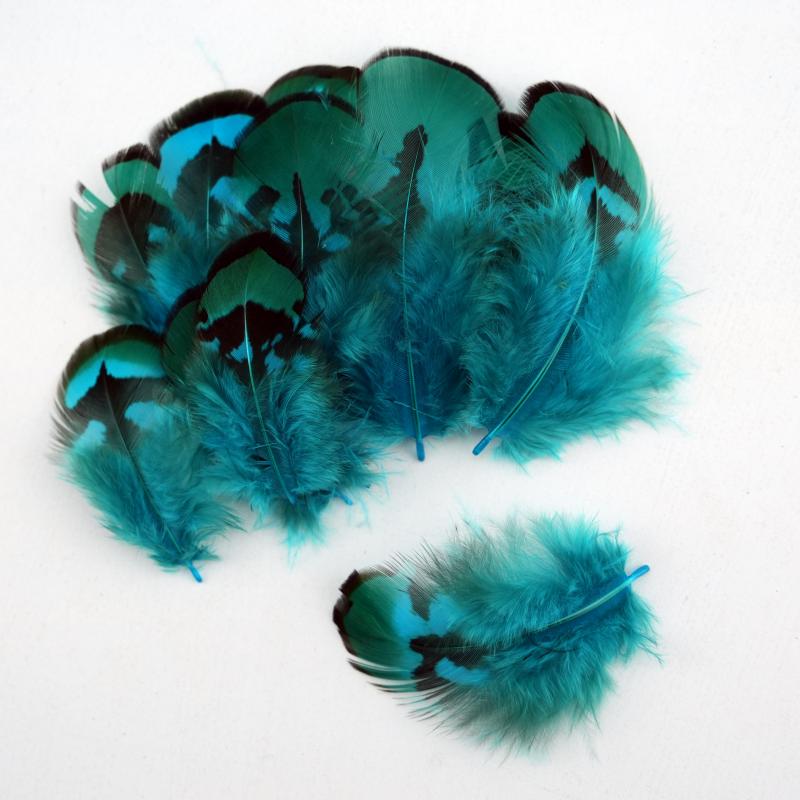 Natural DIY Pheasant Feathers  - Wedding Supply In Bulk ulasan dan harga