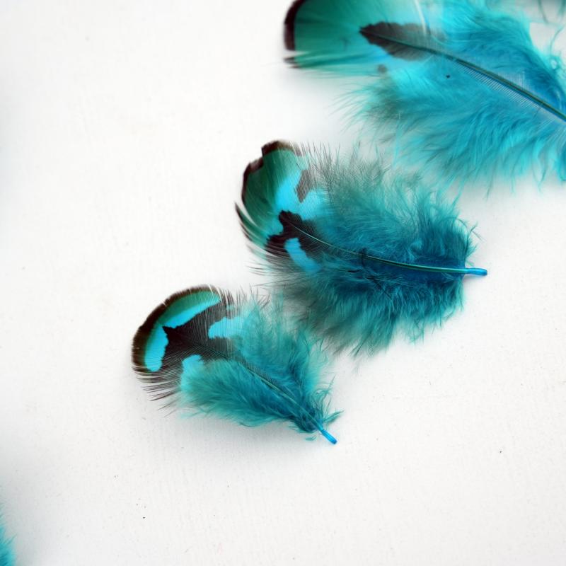 Natural DIY Pheasant Feathers  - Wedding Supply In Bulk ulasan dan harga
