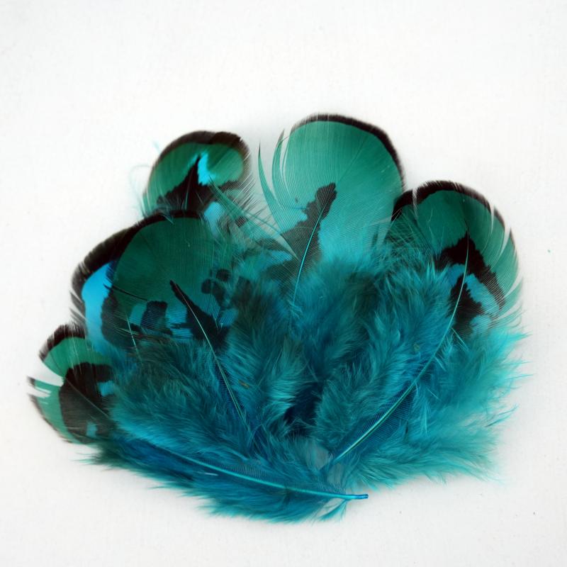 Natural DIY Pheasant Feathers  - Wedding Supply In Bulk ulasan dan harga