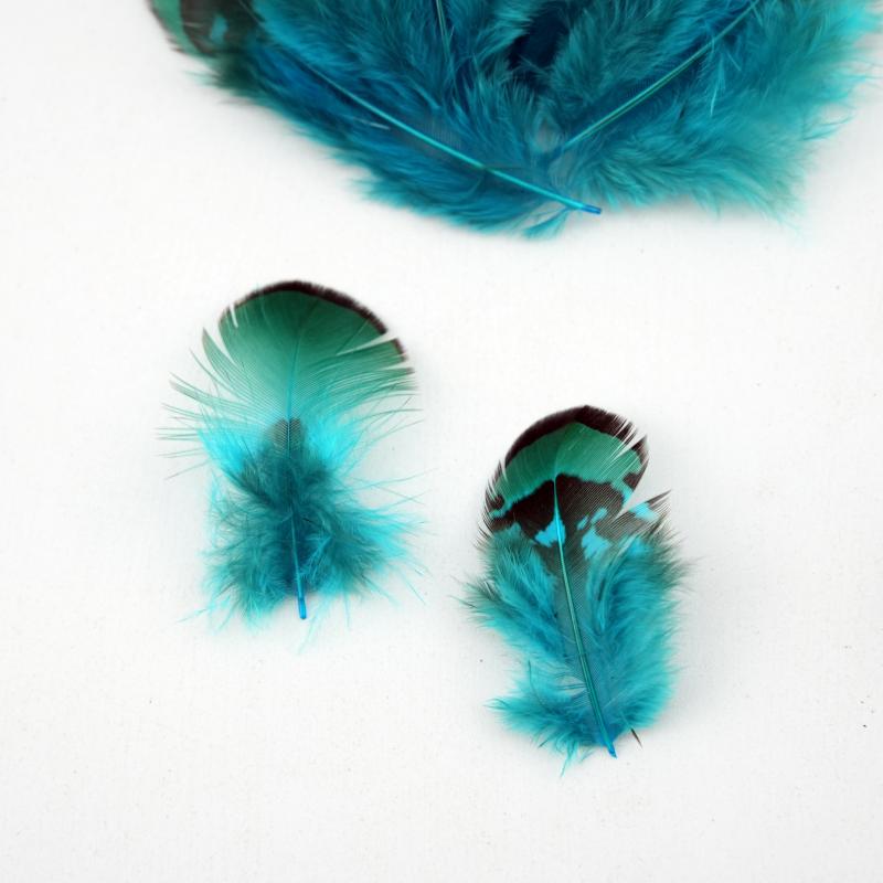 Natural DIY Pheasant Feathers  - Wedding Supply In Bulk ulasan dan harga