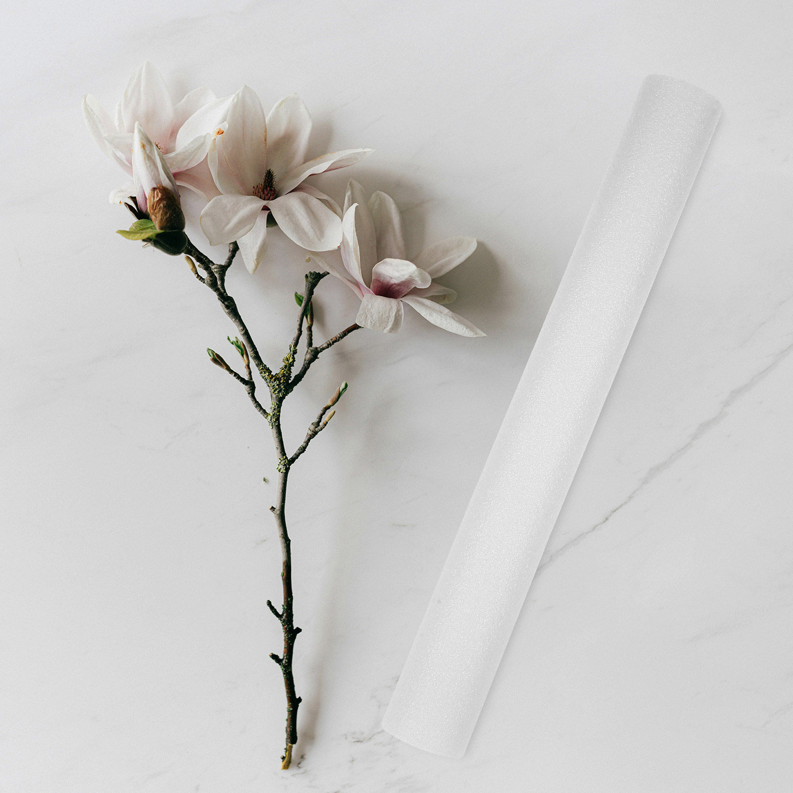 7Pcs Foam Rods 40Cm Floral Arr - Wedding Support ulasan dan harga